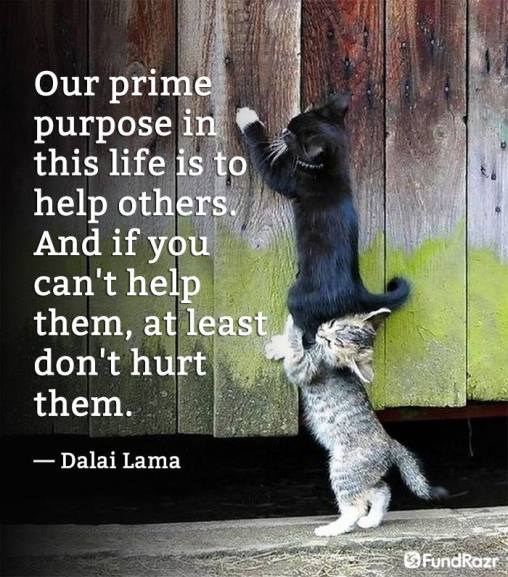 prime purpose is to help others Dalai Lama
